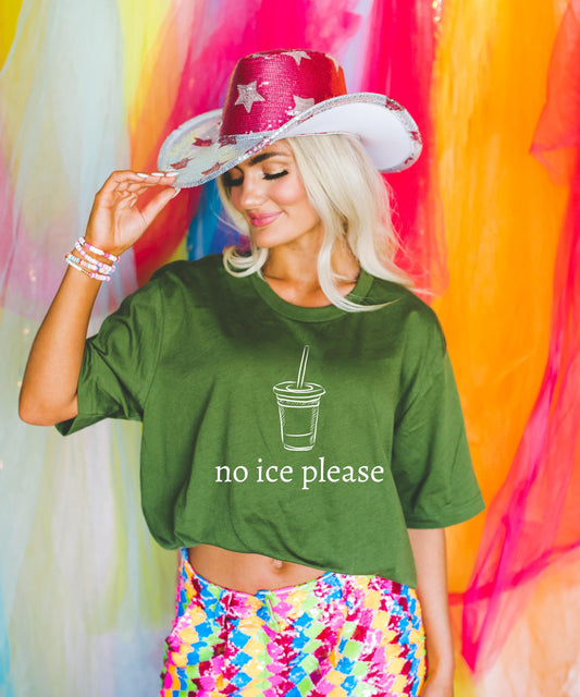 No Ice Please Shirt | Funny Political Immigration Tee | Abolish ICE Protest Hoodie | Liberal Democrat Gift | Social Justice Sweatshirt